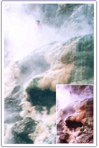 ŭ����ɽ���Ӻ�