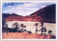 ŭ��������