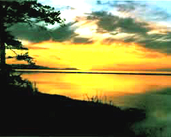 ŭ�����޸���