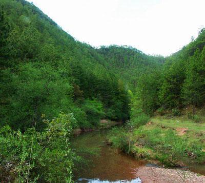 ŭ����ƺ�޹���