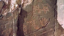 �����������ľʤ���һ�