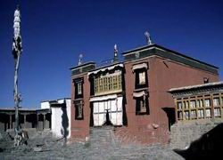 �տ���ϣ�İ�����