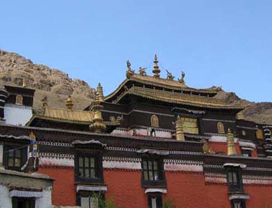 �����տ���ƽ������