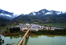 ��֦������