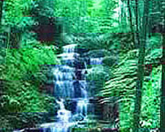 ��������ɽ