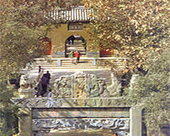 �������Ĺ��