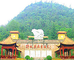 �����Ƽ̹���ʿ�����