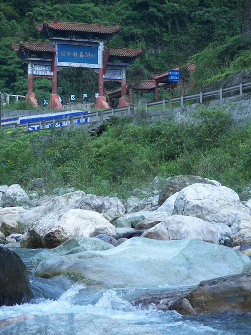 �ƺ�����ɭ�ֹ�԰