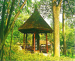 ������̨�Ÿ�����