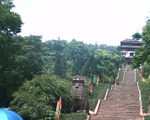 �ϳ�������԰