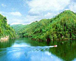 üɽ������