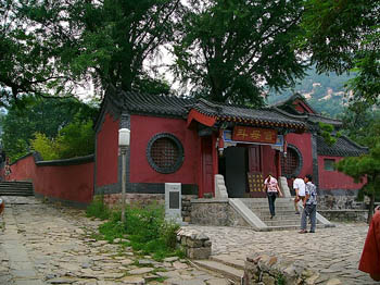 �˱���ĸ��