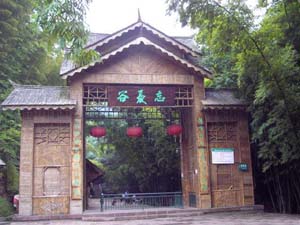 �˱����ǹ�