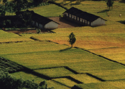 �˱���������