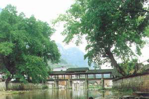 �˱���������