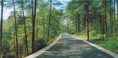 ���������ִ�