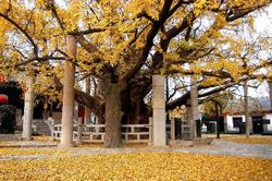 ����ˮ���ع�����