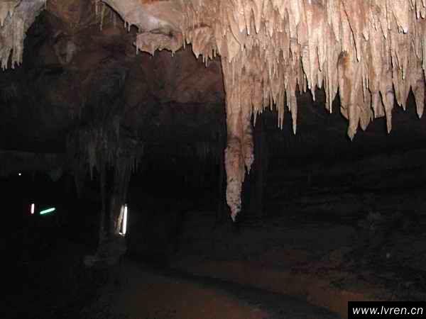 ������Ů��