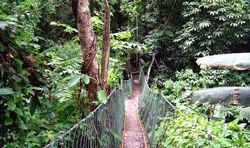 ���������ȴ���Ȼ������