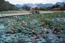 ǭ���ϰ����е�