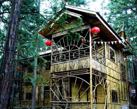 �Ͻں��¹���ɭ�ֹ�԰