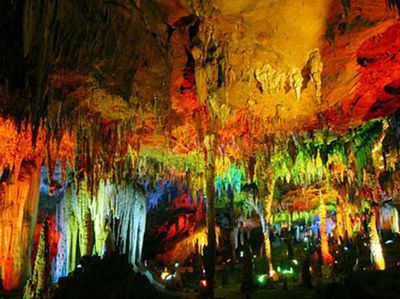 �ƹ���������