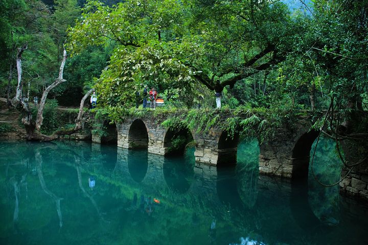 �ƹ���������