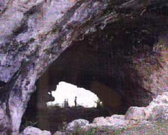 ��˳������ַ