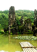 �ƹ�������������