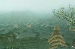 ������կ��