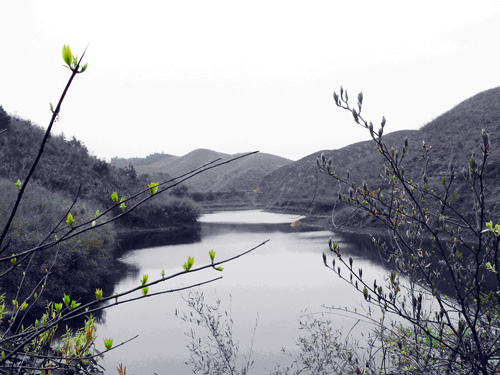 ������ɽ��