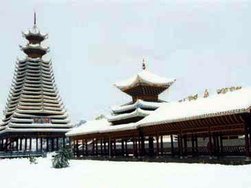 ����������¥