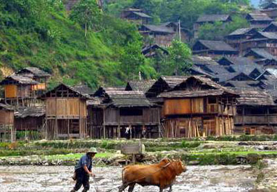 ǭ����С�ƶ�կ