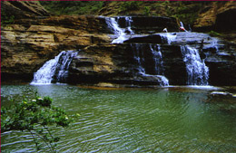 ���������Ӿ���