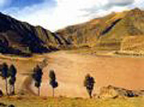 ��������ŵ�