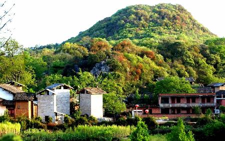 �����ʱ����������ַ