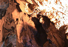 ���ʯ�����ܶ�