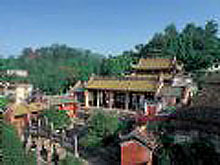 ���ʯ������