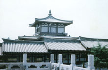 ���������²����