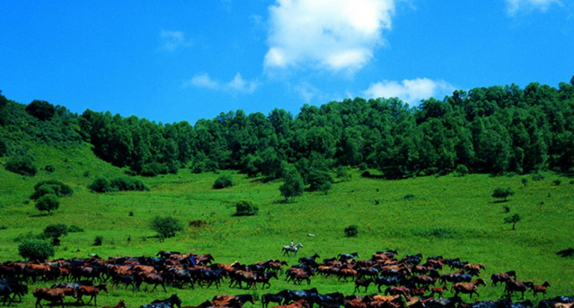 ������ɽ��ԭ