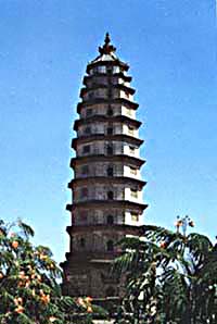 ������Ԫ����