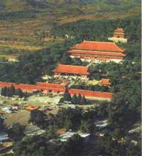 ���������泤��