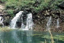 �Ӱ�����Ȫ