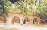 �Ӱ�������ַ