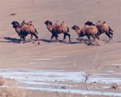 ��Ȫ���ϰ�