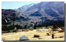 ��ҴС���翵����