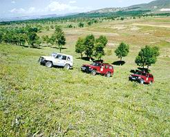 ��Ҵ����ɽ