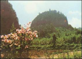 ��������ɽ