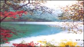 ¤��崲���������