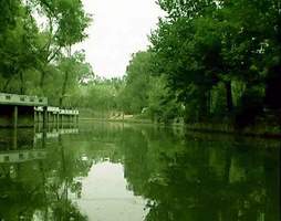 ƽ������